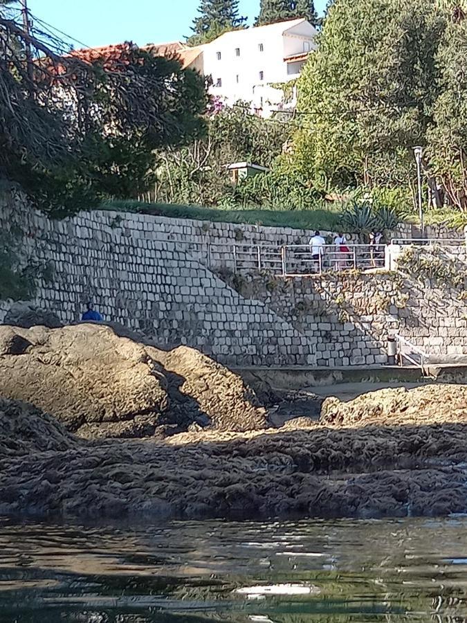 Villa Sea Dream Kolocep Gornje Celo المظهر الخارجي الصورة