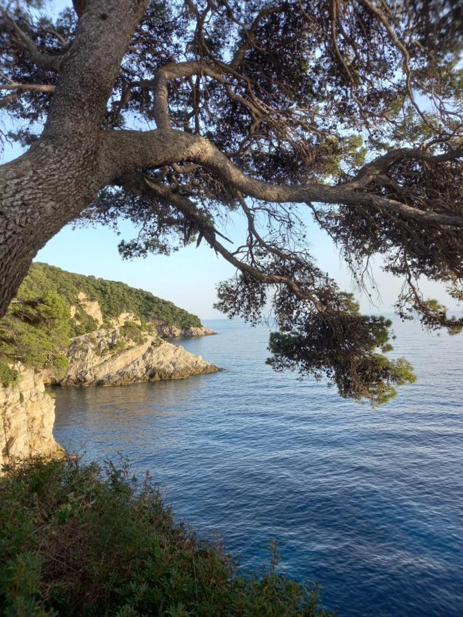 Villa Sea Dream Kolocep Gornje Celo المظهر الخارجي الصورة
