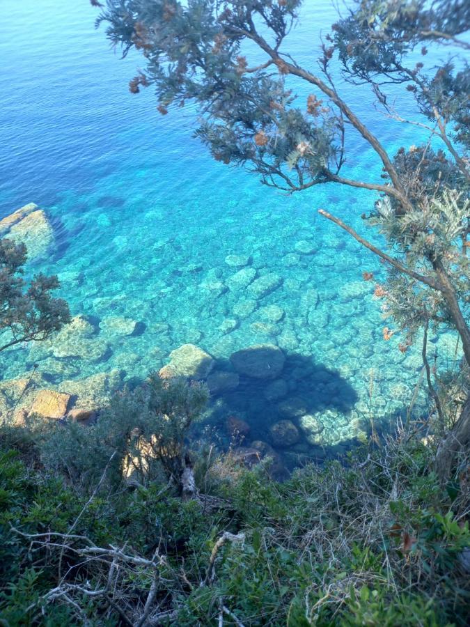 Villa Sea Dream Kolocep Gornje Celo المظهر الخارجي الصورة