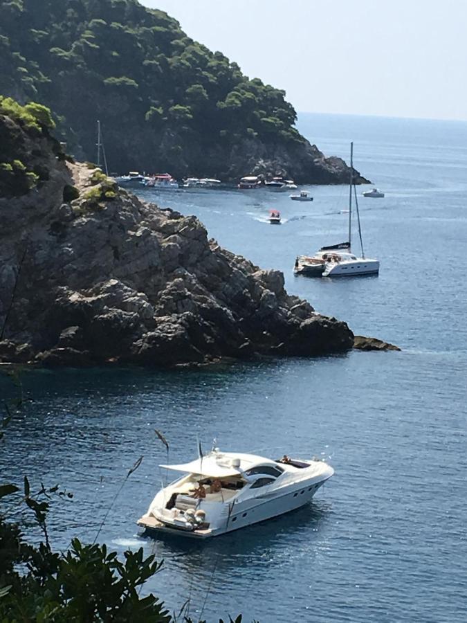 Villa Sea Dream Kolocep Gornje Celo المظهر الخارجي الصورة