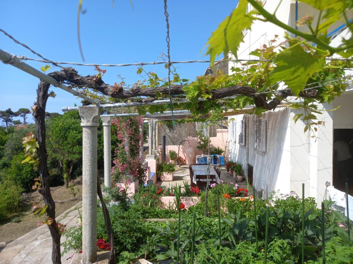 Villa Sea Dream Kolocep Gornje Celo المظهر الخارجي الصورة