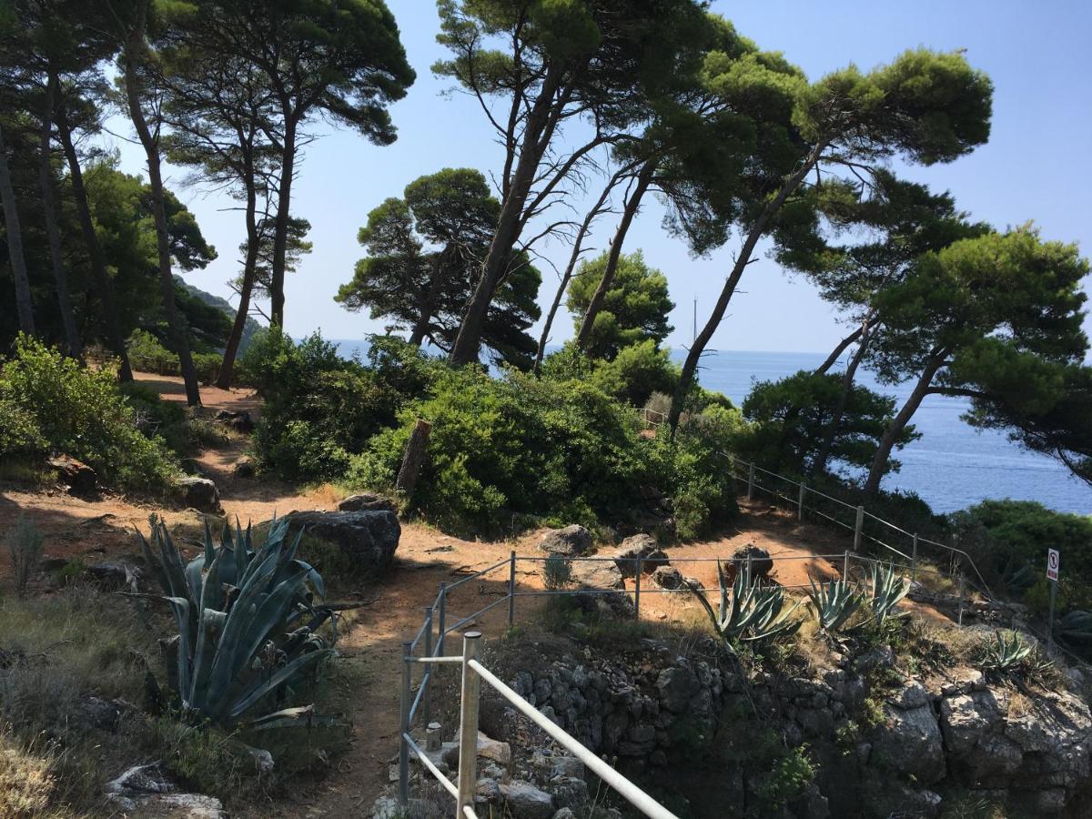 Villa Sea Dream Kolocep Gornje Celo المظهر الخارجي الصورة
