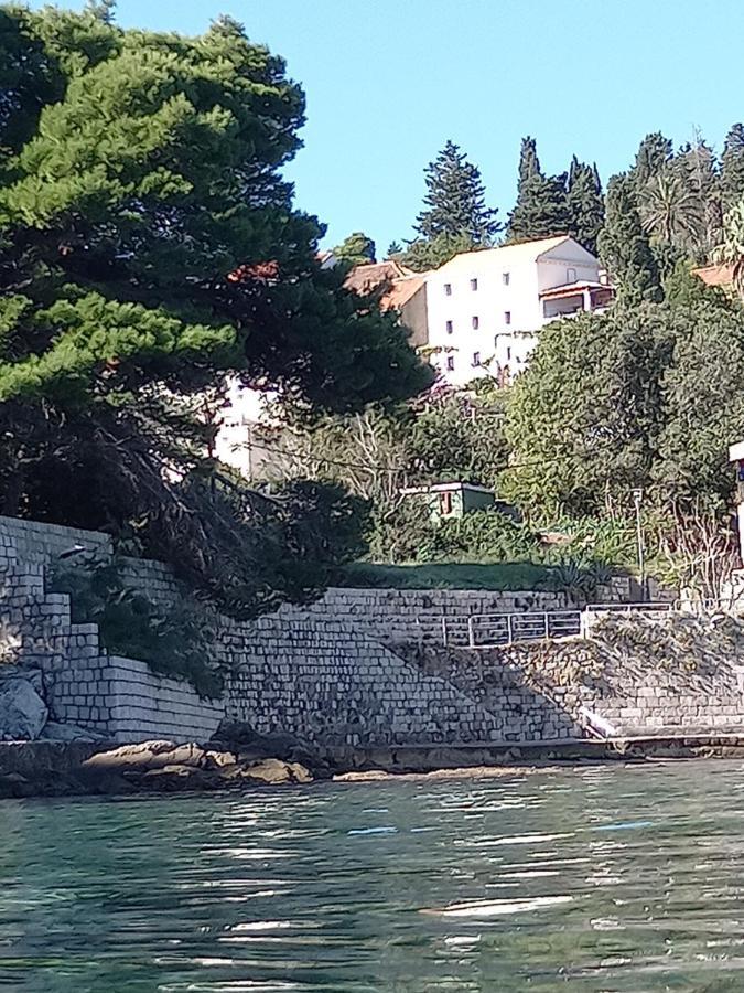 Villa Sea Dream Kolocep Gornje Celo المظهر الخارجي الصورة