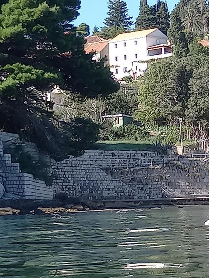 Villa Sea Dream Kolocep Gornje Celo المظهر الخارجي الصورة