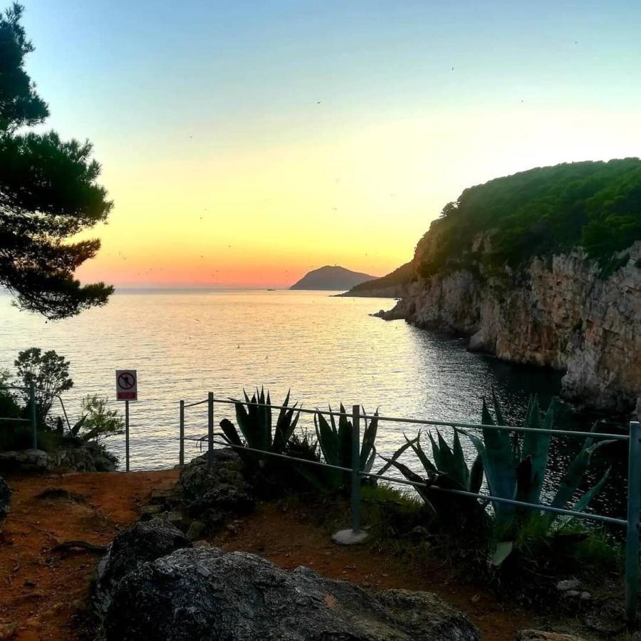 Villa Sea Dream Kolocep Gornje Celo المظهر الخارجي الصورة